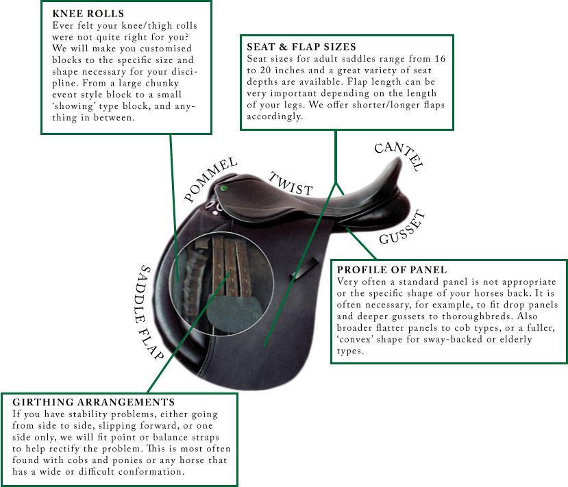 Anatomy of a saddle